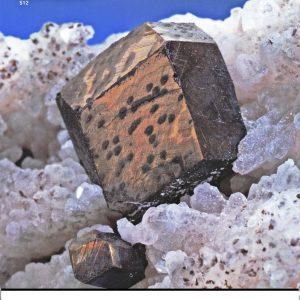 CLICK HERE TO ORDER DIGITAL COPY of Vol 32 no 6.2 - $12