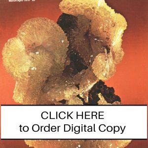 CLICK HERE TO ORDER DIGITAL COPY of Vol 10 no 2.2 - $12