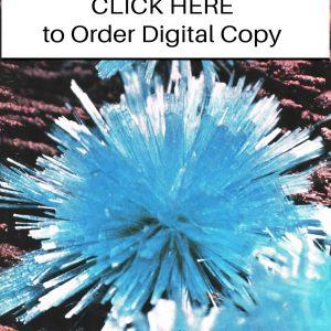 CLICK HERE TO ORDER DIGITAL COPY of Vol 10 no 4.2 - $12