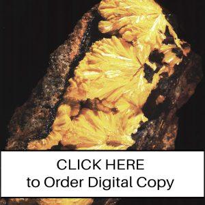 CLICK HERE TO ORDER DIGITAL COPY of Vol 18 no 5.2 - $12