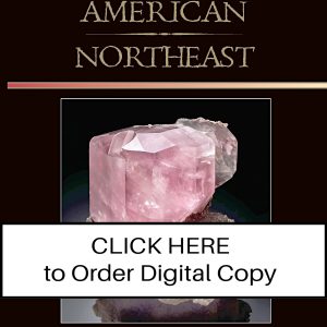 CLICK HERE TO ORDER DIGITAL COPY of Vol 47 no 4.12 - $35