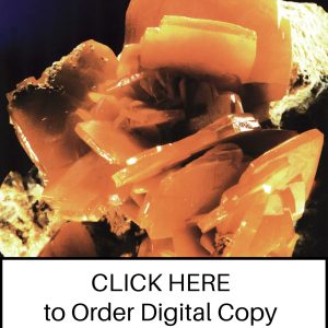 CLICK HERE TO ORDER DIGITAL COPY of Vol 17 no 6.2 - $12