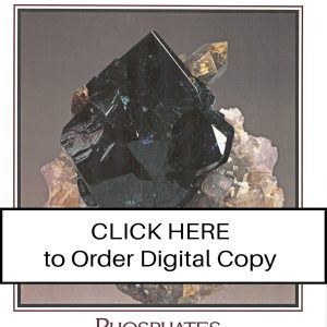 CLICK HERE TO ORDER DIGITAL COPY of Vol 23 no 4.2 - $12