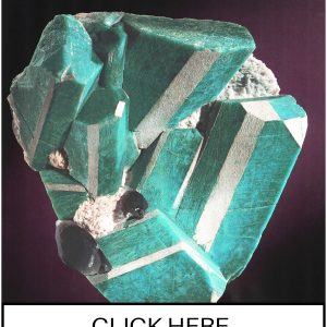 CLICK HERE TO ORDER DIGITAL COPY of Vol 19 no 4.2 - $12