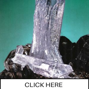 CLICK HERE TO ORDER DIGITAL COPY of Vol 19 no 5.2 - $12