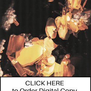 CLICK HERE TO ORDER DIGITAL COPY of Vol 22 no 6.2 - $12