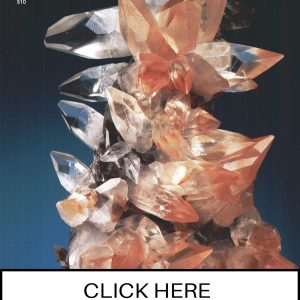 CLICK HERE TO ORDER DIGITAL COPY of Vol 29 no 3.2 - $12