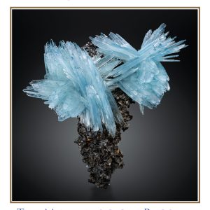 Mineralogical Record Vol. 57, No. 1, 2026