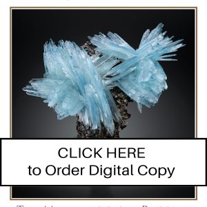 CLICK HERE TO ORDER DIGITAL COPY of Vol 57 no 1.2 - $30