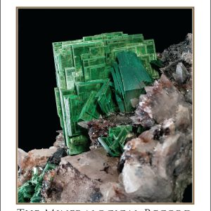 1-year NEW subscription for LIBRARIES, MUSEUMS and other institutions