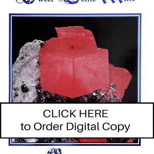 CLICK HERE TO ORDER DIGITAL COPY of Vol 29 no 4.2 - $40